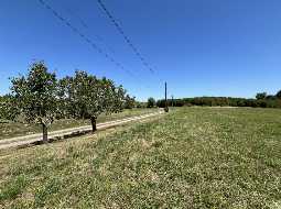 Exceptional Landaise Estate with Tourism Potential, Panoramic Views, Pool & Spacious Outbuildings