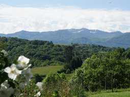 An Exceptional Country Residence with Panoramic Pyrenees Views & 46 acres!