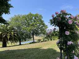 Vaste Demeure de Village du XVIII avec 9 Chambres, Piscine au Sel & Vue Pyrénées