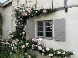 Vaste Demeure de Village du XVIII avec 9 Chambres, Piscine au Sel & Vue Pyrénées