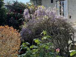 Rare 14th-Century Authentic Historic Village Property with Garden and Pyrenees Views