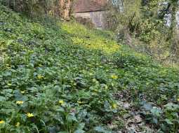 Demeure de Village de Caractère avec accès direct à la Rivière