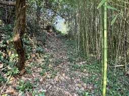 Demeure de Village de Caractère avec accès direct à la Rivière