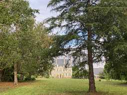 Majestueux Château du XVIIIème avec d'élégants éléments d'époque, 1,3 HA, Toiture refaite en 2021 !