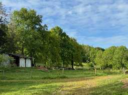 An Attractive Béarnaise House with Guest Annex & 3.6HA of Land