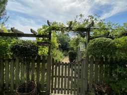 A Beautiful Contemporary Property with Charming Flowery Gardens in Heart of a Lovely Landaise Town