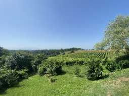 Superbe Grange Rénovée avec Vue Panoramique sur les Vignes et la Chaîne Pyrénéenne.
