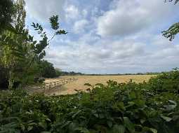 Propriété Equestre avec 12 HA dont 10 HA de Prairie plate, Dépendances Impressionnantes