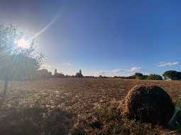 Superbe fermette landaise + Gite, sur 6,5HA composé d'un parc, d'une prairie et de vignes