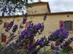 Remarkable 14thC Chateau with Templar Origins, 1.5HA, High End Professional Renovation
