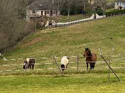 Family Home with Pyrenean Mountain Views; Pau; Jurancon Wine Region; Close to local Amenities