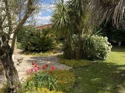 SOLD FURNISHED. 17C Bearnaise Village House in 2 Acres of Land with 11 horse boxes