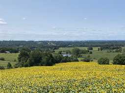 Immaculately Presented Maison de Maitre in heart of Chalosse, with Breathtaking Views