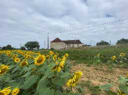 Corps de Ferme 19ème Siècle Avec 2.7 Hectares du Terrain Privé