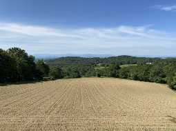 Magnificent 18C Ensemble Bearnaise With Pool, Terrasse And Majestic Mountain Views In 3.2 Hectares