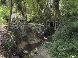 Charmant Moulin Datant du 19ème Siècle, Doté d'Une Piscine, Dans Un Cadre de Paix
