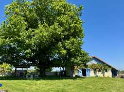 A Beautifully Maintained Family Home with Spectacular Views and Successful Gite