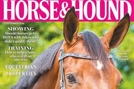FCH - HORSE & HOUND
