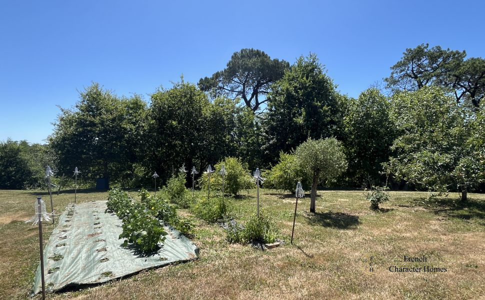 Exceptional Landaise Estate with Tourism Potential, Panoramic Views, Pool & Spacious Outbuildings