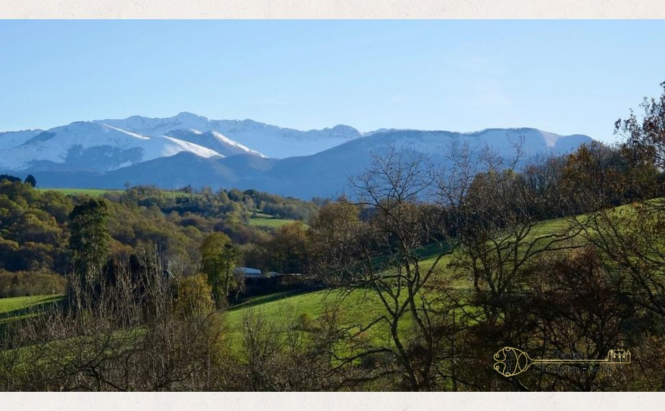 An Exceptional Country Residence with Panoramic Pyrenees Views & 46 acres!