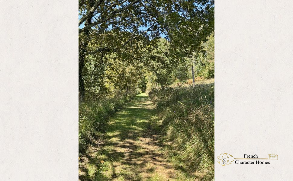 An Exceptional Country Residence with Panoramic Pyrenees Views & 46 acres!