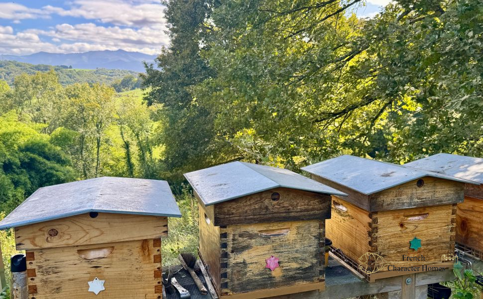 An Exceptional Country Residence with Panoramic Pyrenees Views & 46 acres!