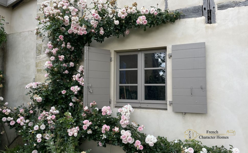 Elegant & Substantial 18C Village Home with 9 Beds; Saltwater Pool & Pyrenean Views