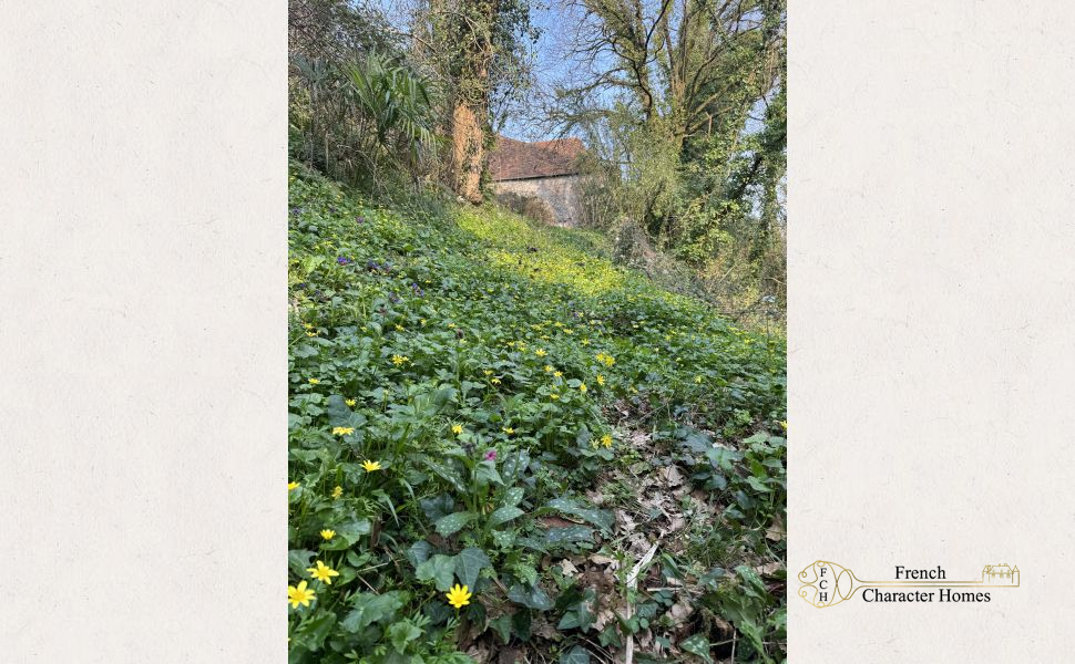 Substantial Village Manor House with River Frontage