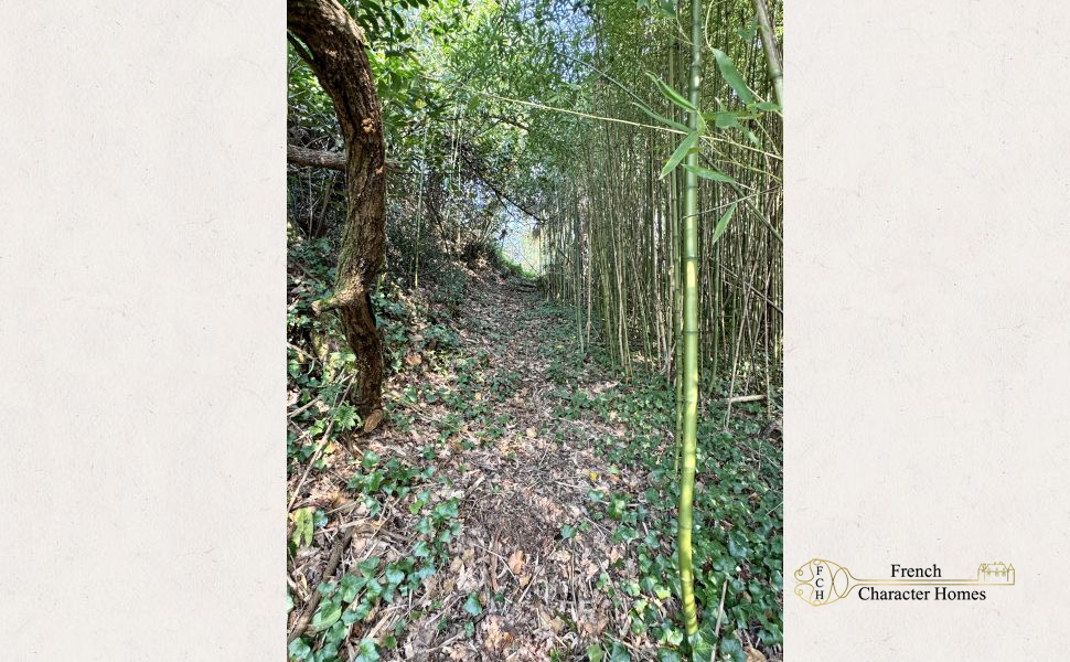 Substantial Village Manor House with River Frontage