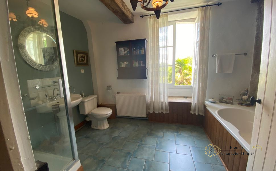 Magnificent 17C Property with 4 bedroom Guest Cottage 30 minutes from Pau