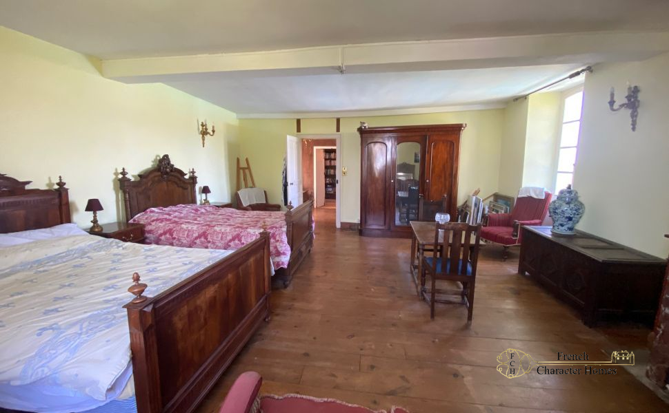 Magnificent 17C Property with 4 bedroom Guest Cottage 30 minutes from Pau