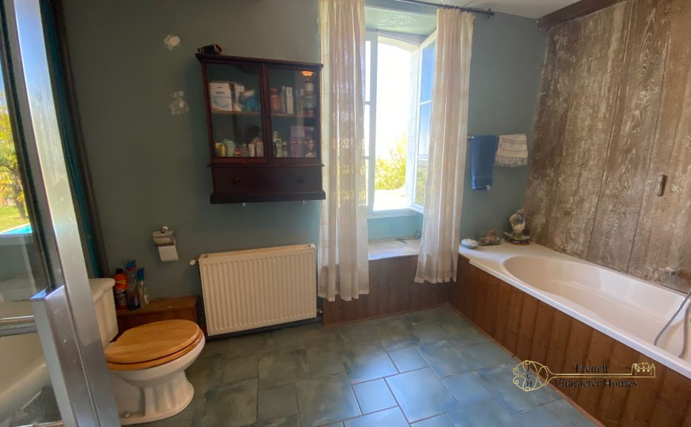 Magnificent 17C Property with 4 bedroom Guest Cottage 30 minutes from Pau