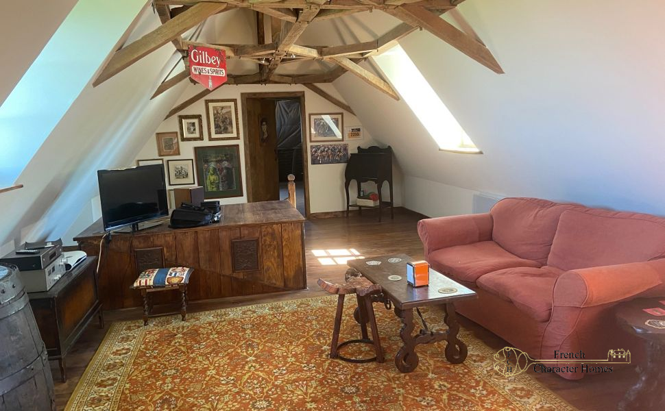 Magnificent 17C Property with 4 bedroom Guest Cottage 30 minutes from Pau