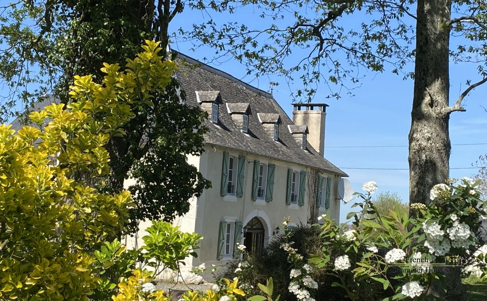 Magnificent 17C Property with 4 bedroom Guest Cottage 30 minutes from Pau