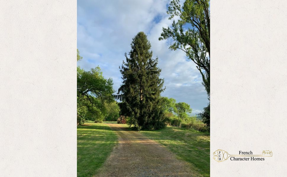SOLD FURNISHED : Enchanting 1815 Watermill with Pool and Pyrenean Views 