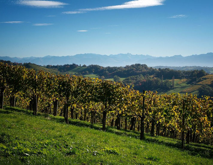 Vignobles de Jurançon